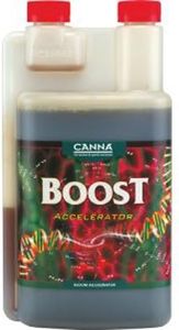 Canna Boos