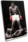 Bold Bloc Design - Boxing Muhammad 