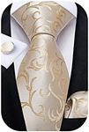 DiBanGu Mens Tie Set Silk Solid Pai