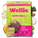 Wellie Bellie Bites Probiotic Treats for Dogs – Real Chicken Flavor – Digestive Enzymes and Prebiotics for All Breeds – 4 Billion CFU for Gut Health and Immune Support – 100g (Pack of 1)
