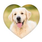 HomeLifairy Custom Pillow with Picture, Personalized Photo Pillow, Insert Included Double Sided Design, Customized Gift Throw Pillow for Birthday,Christmas,Home Decoration (18"x18", Love)