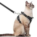 Supet Cat Harness and Leash for Wal