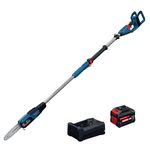 BOSCH GKE18V-25TPN18X 18V 10-Inch Pole Chainsaw Kit with 10 Ft. Telescoping Reach & Brushless Motor (Includes 8.0Ah Battery & Fast Charger)