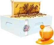 SunVara Honey Bee Box 10 Frame