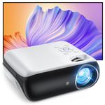 Projector For Outdoors