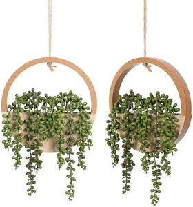 Floweroyal - Juego de 2 Plantas suculentas Artificiales para Colgar de 30,5 cm en Maceta con cordón de 21 cm para decoración de Pared Interior y Exterior (Color Madera).