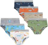 Hanes Trainer Briefs, Light Leaks P