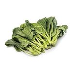 1000+ Chinese Broccoli Seeds (Kaila