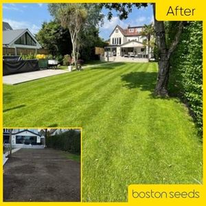 Boston Seeds Premier Grass Seed 5kg – Premium Professional Lawn Mix