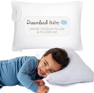 DREAMLAND 