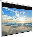 Projector Screen Manual Pull Down 1