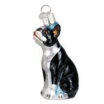 Old World Christmas Boston Terrier Glass Blown Ornament