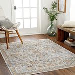 Surya Doha Machine Washable Rug - Vintage Area Rugs Living Room, Kitchen, Outdoor, Hallway - Traditional Boho Rug Style - Large Flatweave Rug 160x213cm Ivory Rug