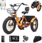 CroSight 2.0 Electric Tricycle for 