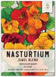 Seed Needs, Jewel Blend/Mix Nasturtium Seeds for Planting Outdoors (Edible Wildflowers, Perfect for Garnishing) Heirloom, Non-GMO & Untreated (1 Pack)