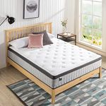 Zinus Support Plus Queen Mattress |