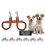 Kruz Double Dog Coupler - KZVX2-08S - Tangle Free Dog Walking & Training Dual Extension - Comfortable, Shock Absorbing - Reflective Bungee for Two Dogs - Orange - 5/8" x 14"