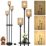 Rayofly Dimmable Floor Lamps for Living Room, 3-Lights Rattan Floor Lamp with Shelves, Boho Floor Lamp with Rattan Shades & 3-Way Foot Switch, Black Floor Standing Lamps for Living Room Bedroom Office