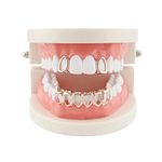 Huliyhus 18K Gold Plated Hip Hop Teeth Grillz Caps Open Face 2pcs Single Top and Bottom Grills for Your Teeth Grillz Set for Men Women, One Size, Brass,Gold, No Gemstone