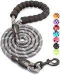 BAAPET 5 FT Strong Dog Leash with Comfortable Padded Handle and Highly Reflective Threads for Small Medium and Large Dogs (1/2'', Grey)