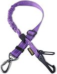 AUBELL Dog Seatbelt, Updated 3-in-1 Pet Car Seat Belt for Dogs, Bungee Dog Car Tether with Clip Hook Latch & Buckle, Heavy Duty Dog Car Harness with Swivel Aluminum Carabiner,Purple