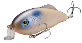 Strike King (HCHHS-584) Hybrid Hunter Shallow Hard Bait Fishing Lure, Color 584 - Oyster, 3.5", 1 oz, Dives 1-3 Feet, 3D Eyes