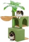 PETEPELA Cat Tree for Indoor Cats [