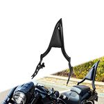 HCmotorku Motorcycle Sissy Bar Detachable Passenger Backrest with Cushion Pad Fit For Harley Softail Fat Boy FLFBS 2018-2023 Breakout FXSB 2013-2023 (Black)