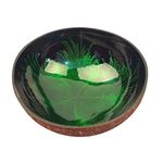 Cabilock Natural Coconut Bowl, Salad Bowl, Decorative Bowl, Shell Bowls Key Bowl for Entryway Table Candy Container Nuts Holder Bowl for Decoration(Green)