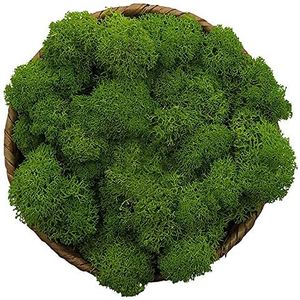 Stardom Moss Preserved, Green Moss for Fairy Gardens, Terrariums, Any Craft or Floral Project or Wedding Other Arts (Green, 3OZ)