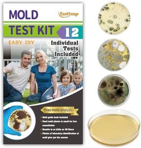 Mold Test 