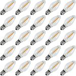 KGC 25Pack C7 LED Christmas Light B