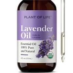 Plant of Life Essential Oil - 100% Pure and Natural - Therapeutic Grade Essential Oil with Dropper (Lavender, 4 oz (120mL))