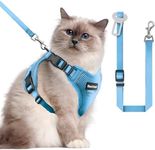 Cat Harness and Leash for Walking, 