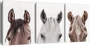 Horse Wall Art Decor Set of 3 Modern Animals Horse Canvas Painting Pictures Framed Horses Canvas Prints Artwork Ready to Hang for Home Office Decoration (12x15 Inch)