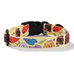 Lana Paws Butter Pups Yellow Skin-Friendly, Fabric Dog Collar Belt, Large, Adult Labradors, Golden Retrievers & Similar