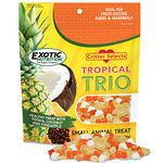 Tropical Trio - Healthy Natural Mixed Dried Fruit Treat - Papaya, Coconut, Pineapple - for Sugar Gliders, Squirrels, Prairie Dogs, Skunks, Marmosets, Parrots, Birds, Rats, Small Pets (4.5 oz)