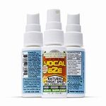 Travel Wellness Vocal EZE Professional Throat Spray