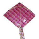 Reusable Plastic Kites (Printed, Multicolor) (Pack of 12)