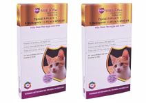 Medfly Spot On Solution for Cats | Effective Treatment for Tick, Flea, Lice | Complete Parasite Protection - Keeps Cats and Kittens Healthy and Happy (Pack of 2)