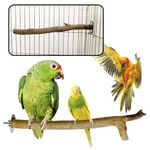 CONGO - NATURAL PARROT TREAT 100% Natural Eucalyptus 7" to 9" inch Perch (Neelgiri Wood) for Siting & Playing for Budgies, Lovebirds, Cockatiels, Conure, Senegal, Amazon and Other Birds, (Pack of 2)