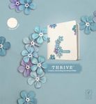 NLT THRIVE Creative Journaling Devotional Bible (Hardcover, Sky Blue)