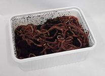 Worm Containers