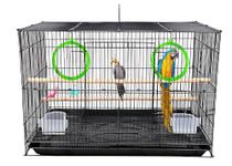 BURAQ Stainless Steel Pets 2Ft Bird Cage Best For Lovebird, Parrot, Parakeet, Budgie, Cockatiel Cage Hammock Small Large Bird Cage With Birds Cage Accessories (2Ft -Any Color),Black