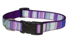 Sassy Dog Wear 18-28-Inch Purple/Multi Stripe Dog Collar, Large