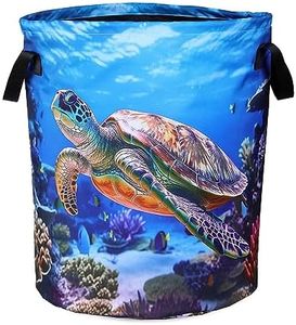 Sea Turtle