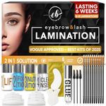 Elevate the Beauty Eyebrow And Lash Lamination Kit | DIY Perm For Lashes and Brows | Professional Lift For Trendy Fuller Brow Look And Curled Lashes | Eyebrow Brush And Eyelash Micro Brushes Added