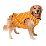 Sage Square Crazy Printed Dog T-Shirt, Trending Dog T-Shirt, Ultra Soft & Light Weight, Comfortable & Breathable Dog Apparel, Trendy Outfit (Polka Orange) (Large - 22inch)