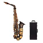 Kadence Alto Saxophone, Case, Mouthpiece, Polishing Cloth, Cleaning Rod And White Gloves (Black Gold)