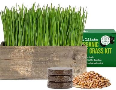 The Cat Ladies Cat Grass Kit Complete with Rustic Wood Planter, Organic Seed and Soil. Easy to Grow - Great for Indoor or Outdoor Cat, Dogs and Other Pets. Prevent Hairballs and Aid Digestion…